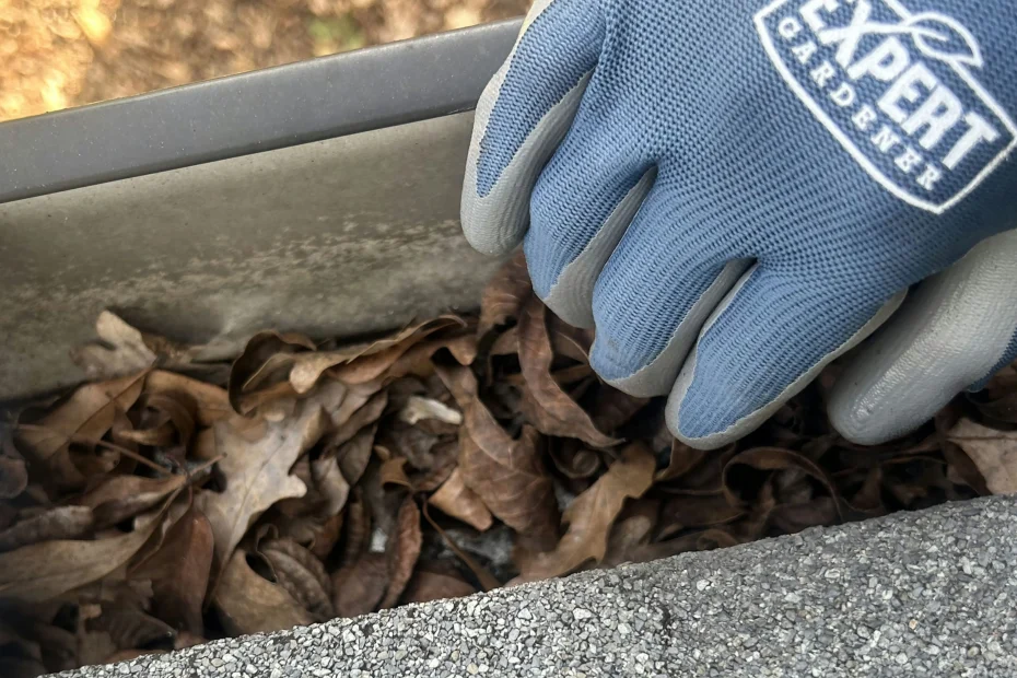 Gutter Cleaning Ellicott City