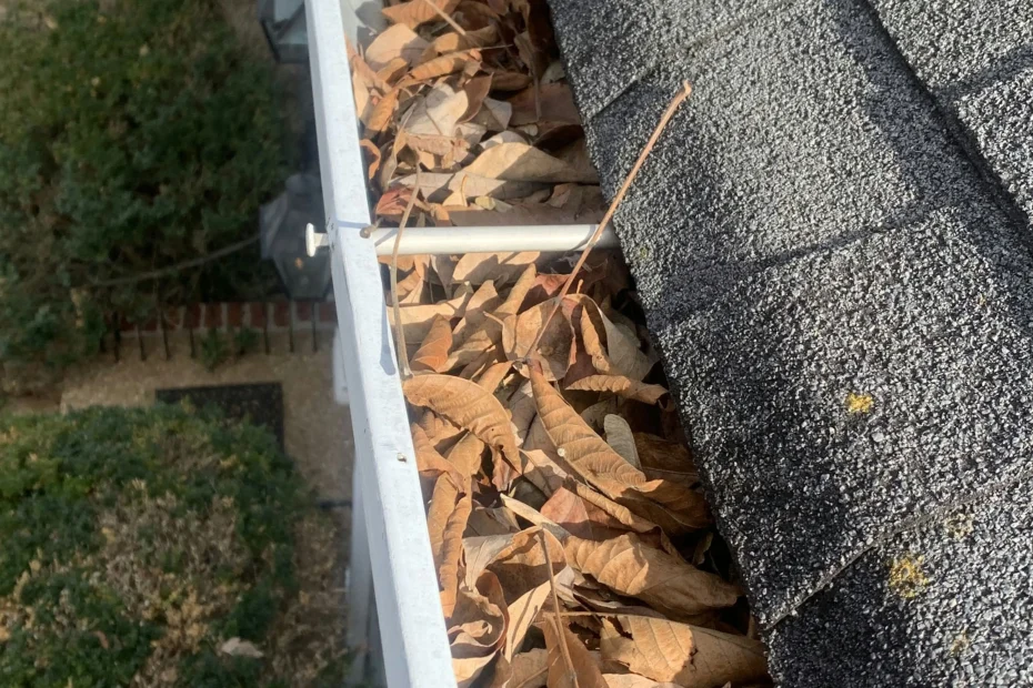 Gutter Cleaning Ellicott City