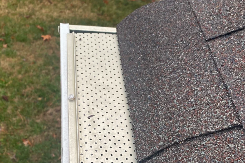 Gutter Cleaning Ellicott City