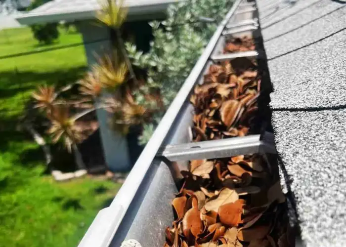 Gutter Cleaning Ellicott City home page